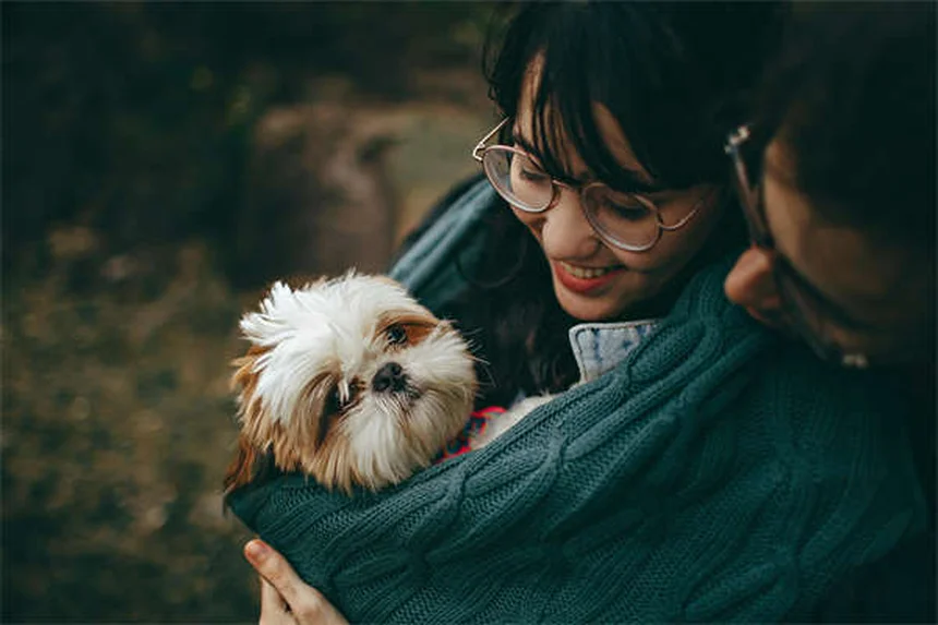 Idées reçues sur les animaux : 12 mythes sur la santé des chiens et chats